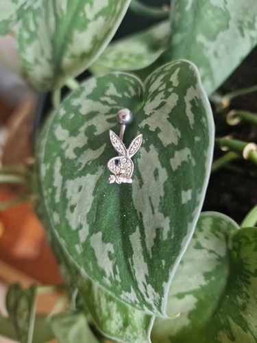 Bauchnabelpiercing playboy - bauchnabelpiercing,